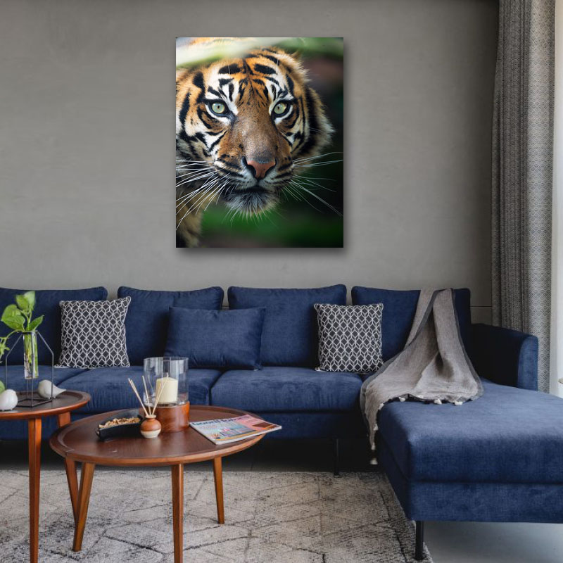 Πίνακας σε καμβά Τίγρης σε κοντινό